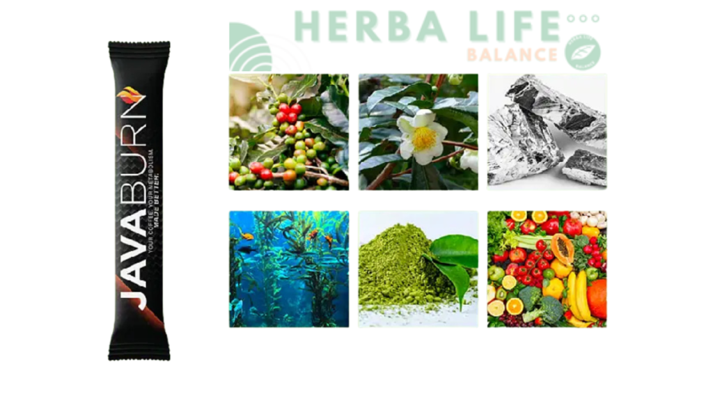 java burn reviews​