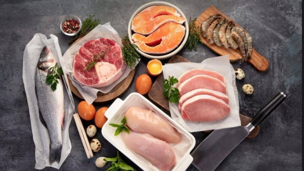 carnivore diet plan​