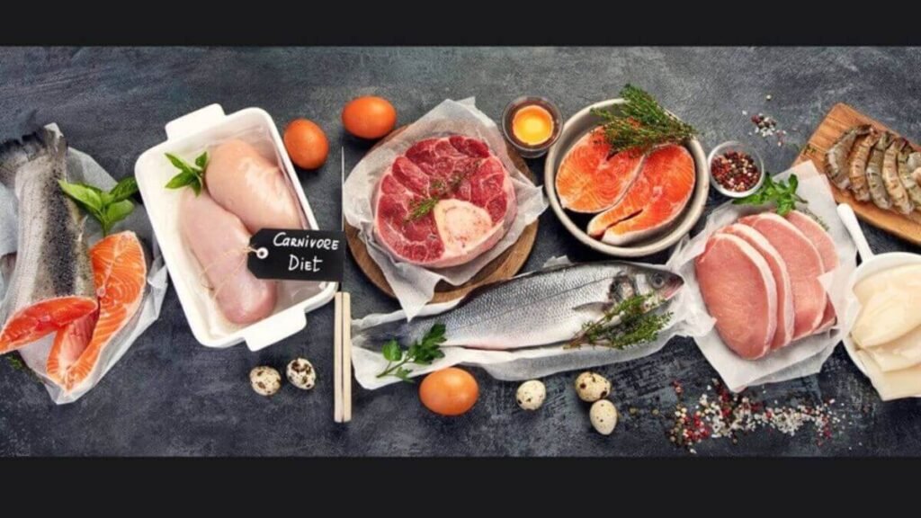 carnivore diet plan​
