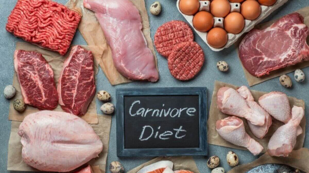 carnivore diet plan​