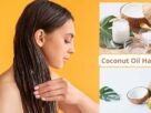 Coconut Oil Hair Food